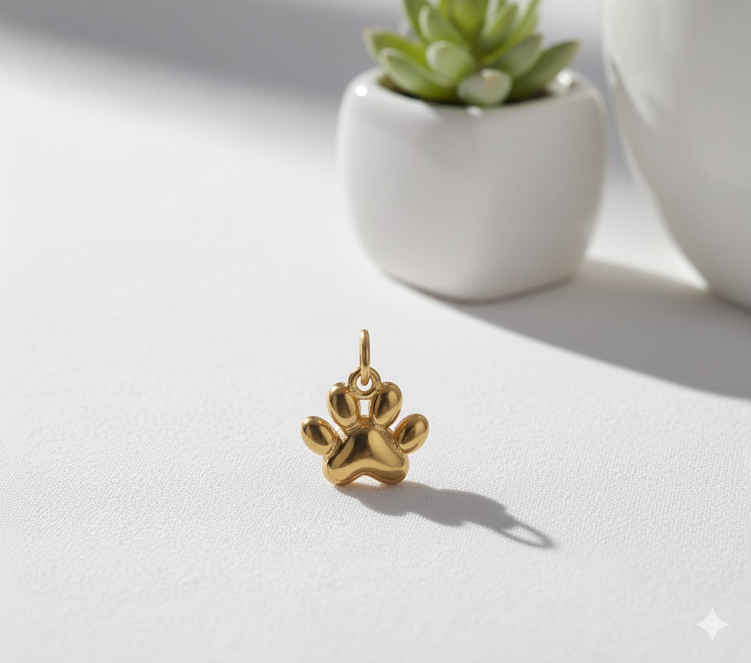 Golden Paw Brass Pendant – A Heartfelt Symbol of Love, Loyalty & Companionship 🐾